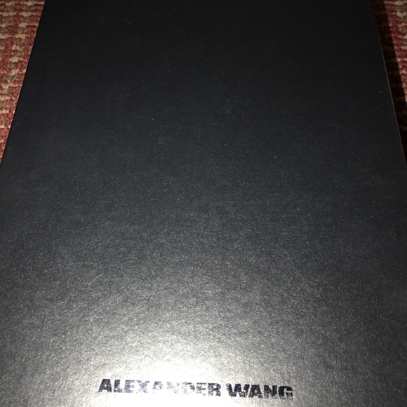 Alexander Wang Antonia —Truffle - Picture 5 of 6